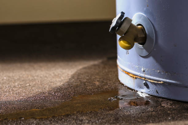 Best Basement water damage restoration  in Kelso, WA