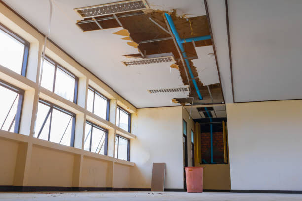 Best Mold removal after water damage  in Kelso, WA