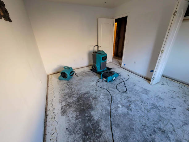 Best Water damage contractors near me  in Kelso, WA