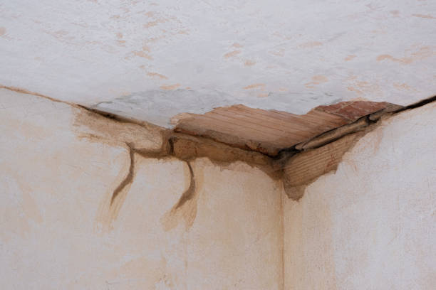 Best Fire Damage Restoration  in Kelso, WA