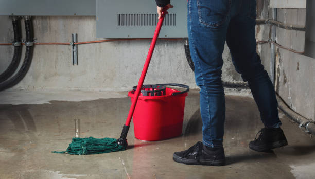 Best Water damage restoration near me  in Kelso, WA