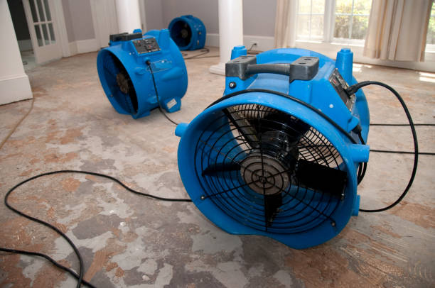 Best Ceiling water damage repair  in Kelso, WA