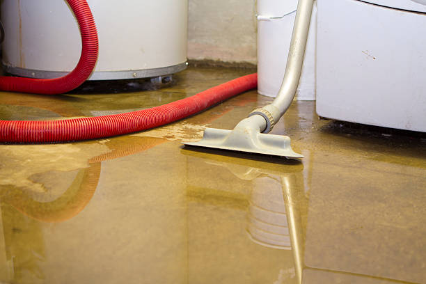 Best Water damage restoration near me  in Kelso, WA
