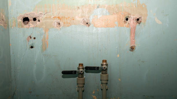 Best Sewage cleanup and water damage restoration  in Kelso, WA