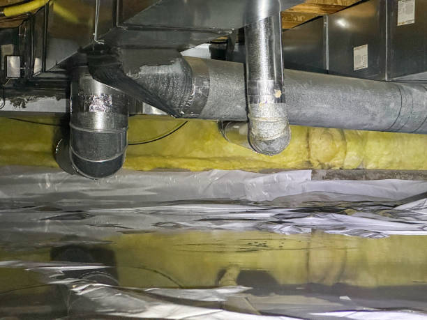 Best Flood damage cleanup  in Kelso, WA