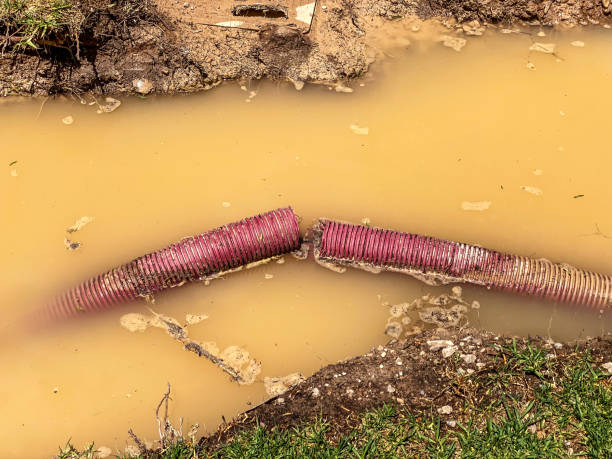 Best 24-hour water damage restoration  in Kelso, WA
