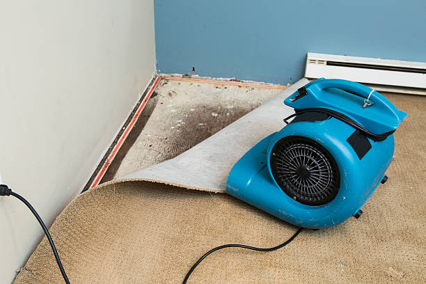 Best Flood restoration services  in Kelso, WA